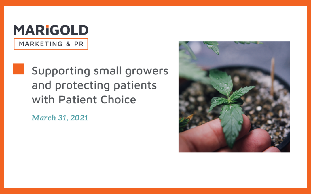 Supporting small growers and protecting patients with Patient Choice