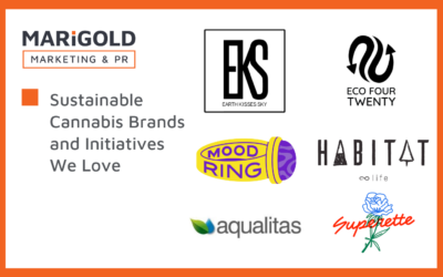 Sustainable Cannabis Brands and Initiatives We Love