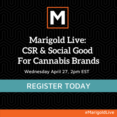 Marigold Live: CSR & Social good for cannabis brands