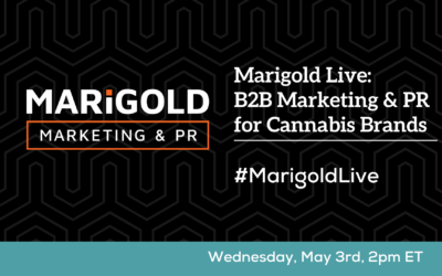 Cultivating Your Reputation: Why Public Relations is Key for B2B Cannabis Brands