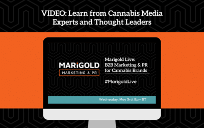 VIDEO: Learn from Cannabis Media Experts and Thought Leaders