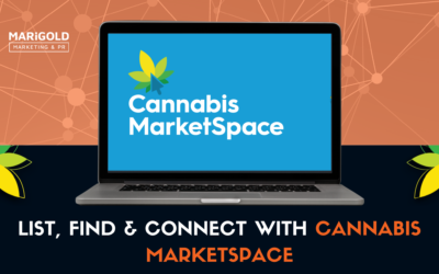 List, Find & Connect with Cannabis MarketSpace
